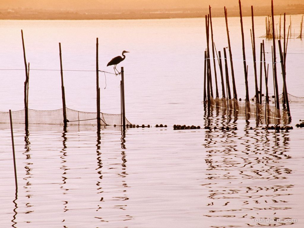 La Albufera National Park, Spain